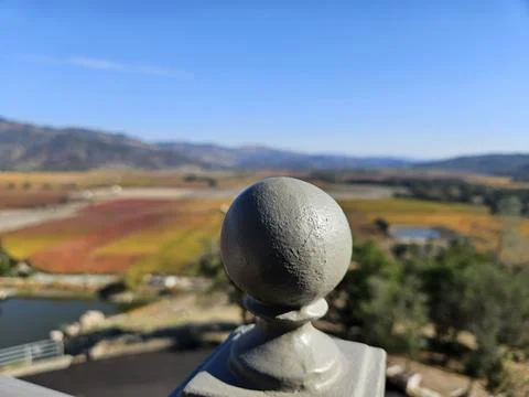 Grape fields forming different colors outside of Sterling Vineyard in Napa Foto stock