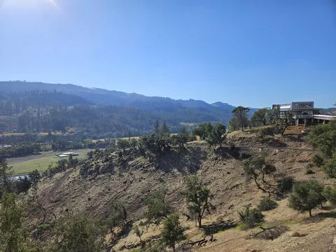 Grape fields forming different colors outside of Sterling Vineyard in Napa Stock Photos