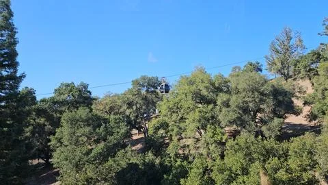Grape fields forming different colors outside of Sterling Vineyard in Napa Foto stock
