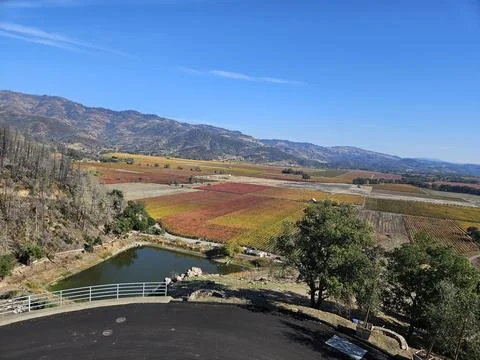 Grape fields forming different colors outside of Sterling Vineyard in Napa Stock Photos