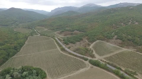Grape fields from the high in Crimea Stock Footage 61627115