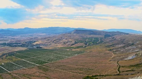 Grape fields in the mountains of Crimea Stock Footage 116694835