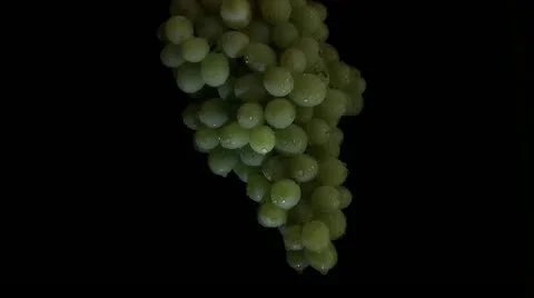 Grape, 스톡 동영상 11883548
