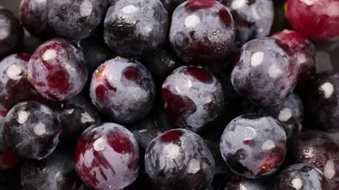 Grape Stock Footage 203923312