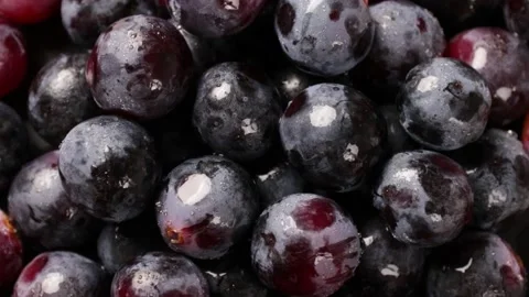 Grape Stock Footage 203923315
