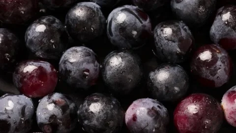 Grape Stock Footage 203923318