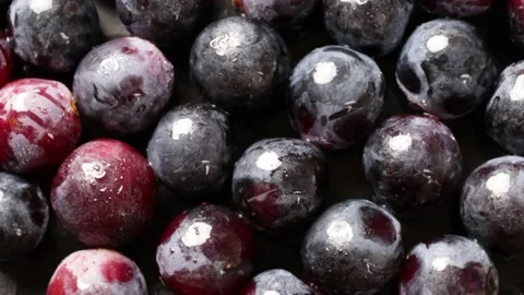 Grape Video stock 203923319