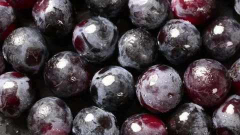 Grape Stock Footage 203923323
