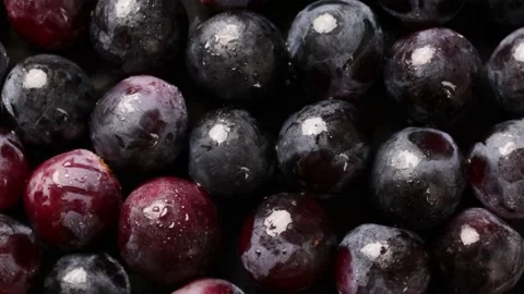 Grape Stock Footage 203923324
