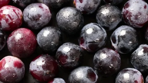 Grape Video stock 203923329