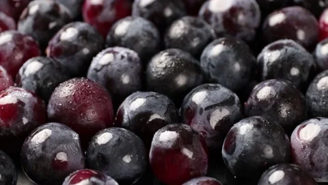 Grape Video stock 203923333