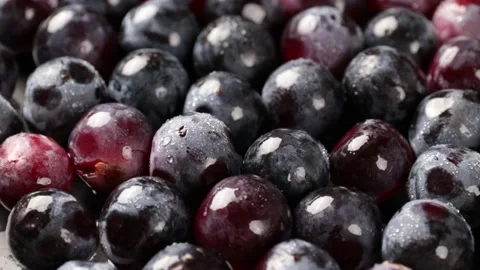 Grape Stock Footage 203923335