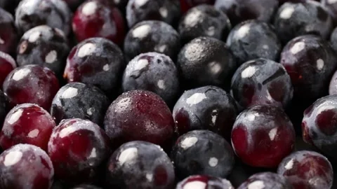 Grape Stock Footage 203923338