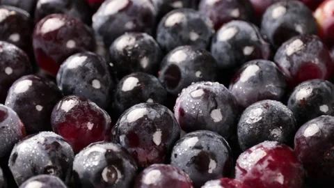Grape Stock Footage 203923340