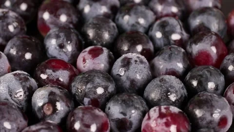 Grape Stock Footage 203923345