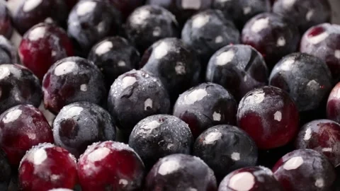 Grape Stock Footage 203923346