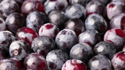 Grape Video stock 203923347