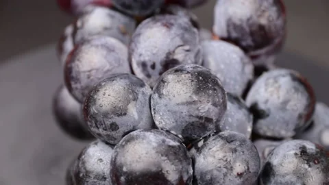 Grape Stock Footage 203923349