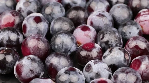 Grape Stock Footage 203923350