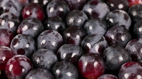 Grape Video stock 203923351