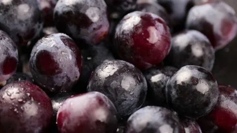 Grape Stock Footage 203923355