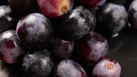 Grape Video stock 203923356
