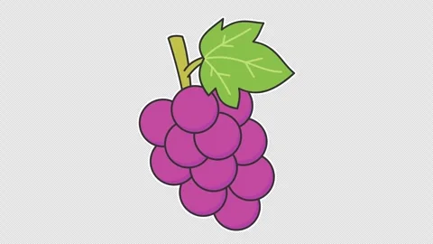 Grape Stock Footage 339270515