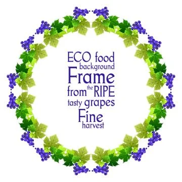 Grape frame Stock Illustration