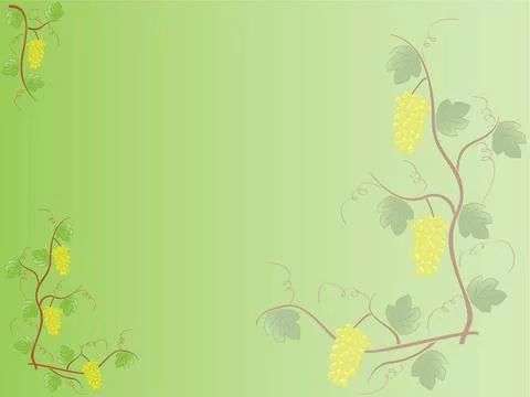 Grape frame. vector grape frame. vector Copyright: xZoonar.com/SerhiixPavl... Stock Photos