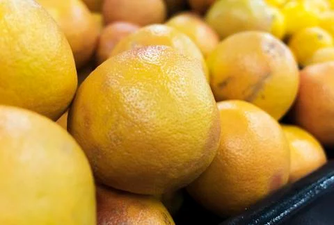 Grape fruit and lemons Stock Photos