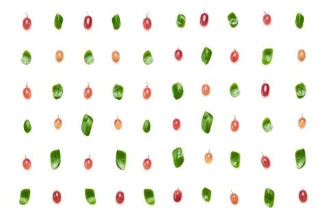 Grape Fruit and small green leaves isolated over white background. Stock Photos