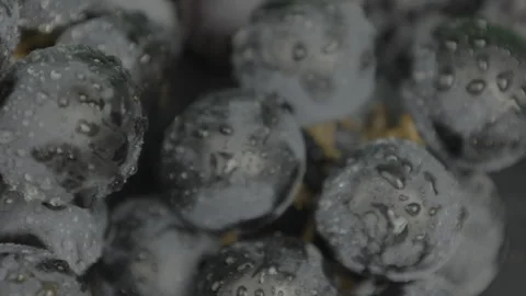 Grape fruit, closeup of grape Stock Footage 259608620