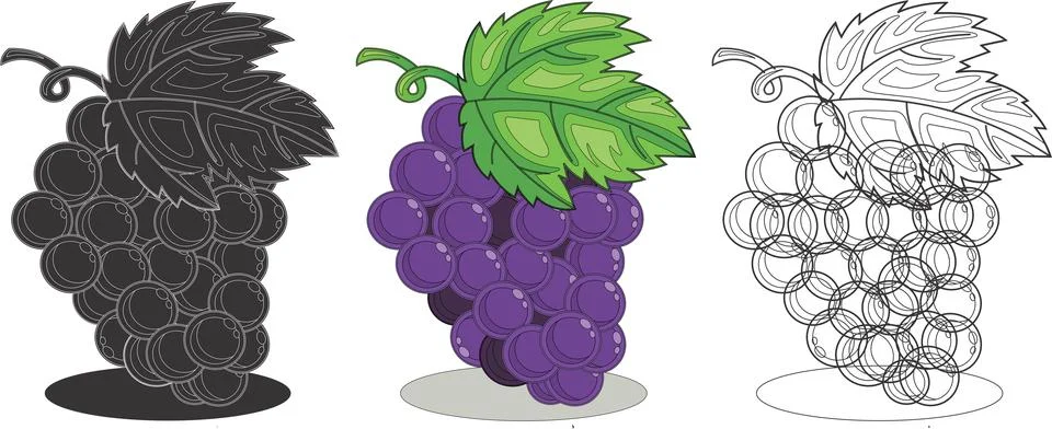 Grape fruit design illustration Vector Stock Illustration