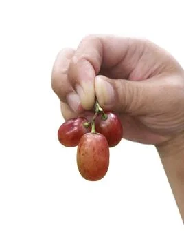 Grape fruit in hand on white background Stock-Fotos