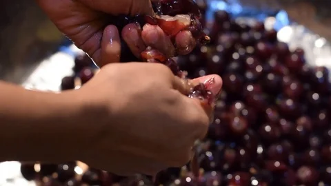 Grape fruit home wine processing removing fruit from stem with bare hands Stock Footage 99381732