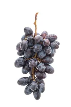Grape fruit isolated on white background 写真素材