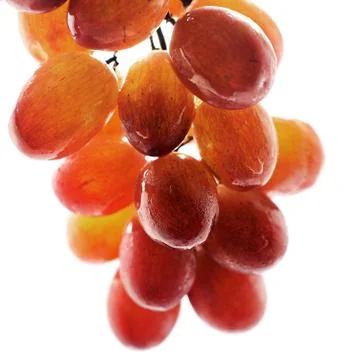 Grape fruit Stock Photos