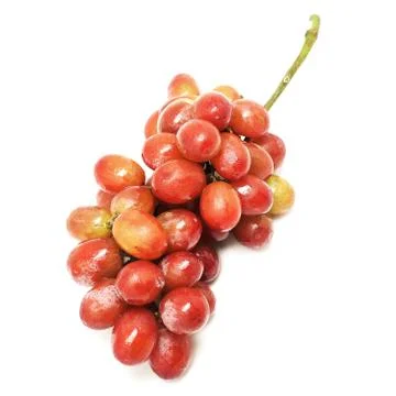 Grape fruit Stock Photos