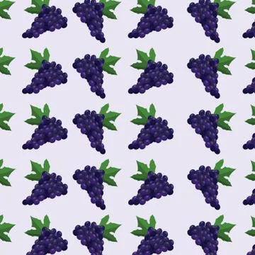 Grape fruit seamless pattern Stock Illustration
