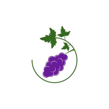 Grape fruit vector design template illustration Stock Illustration