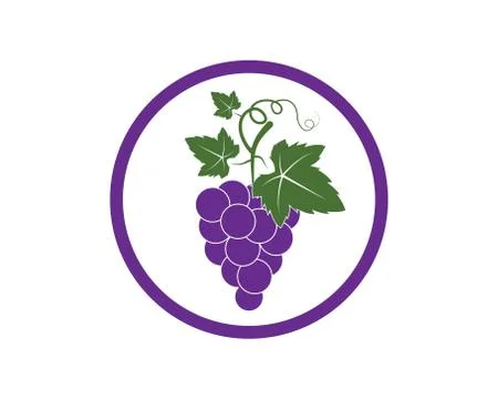 Grape fruits with leaf icon vector illustrtion Stock Illustration