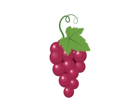 Grape fruits with leaf icon vector illustrtion Stock Illustration