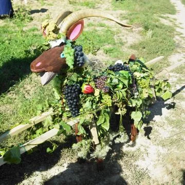 Grape Goat (tradition festival), Znojmo Region, Czech Republic Stock Photos