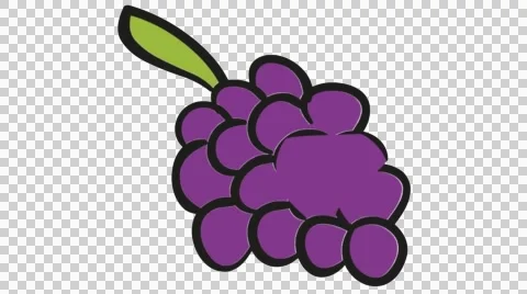 Grape hand drawn illustration animation sketch with transparent background Stock Footage 44927255