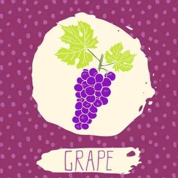 Grape hand drawn sketched fruit with leaf on background with dots pattern. Do Stock Illustration