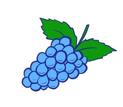Grape hand drawn vector isolated whimsical illustration. Wine fruits branch Stock Illustration