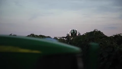 Grape Harvest at Dusk Stock Footage 233652750