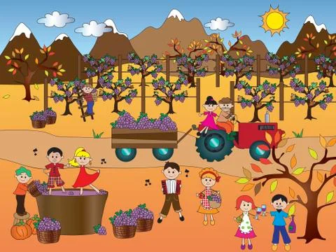 Grape harvest Stock Illustration