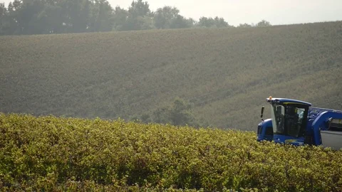 Grape Harvest Machine, Bordeaux Vineyard Stock Footage