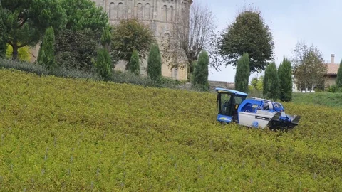 Grape Harvest Machine, Bordeaux Vineyard Stock Footage